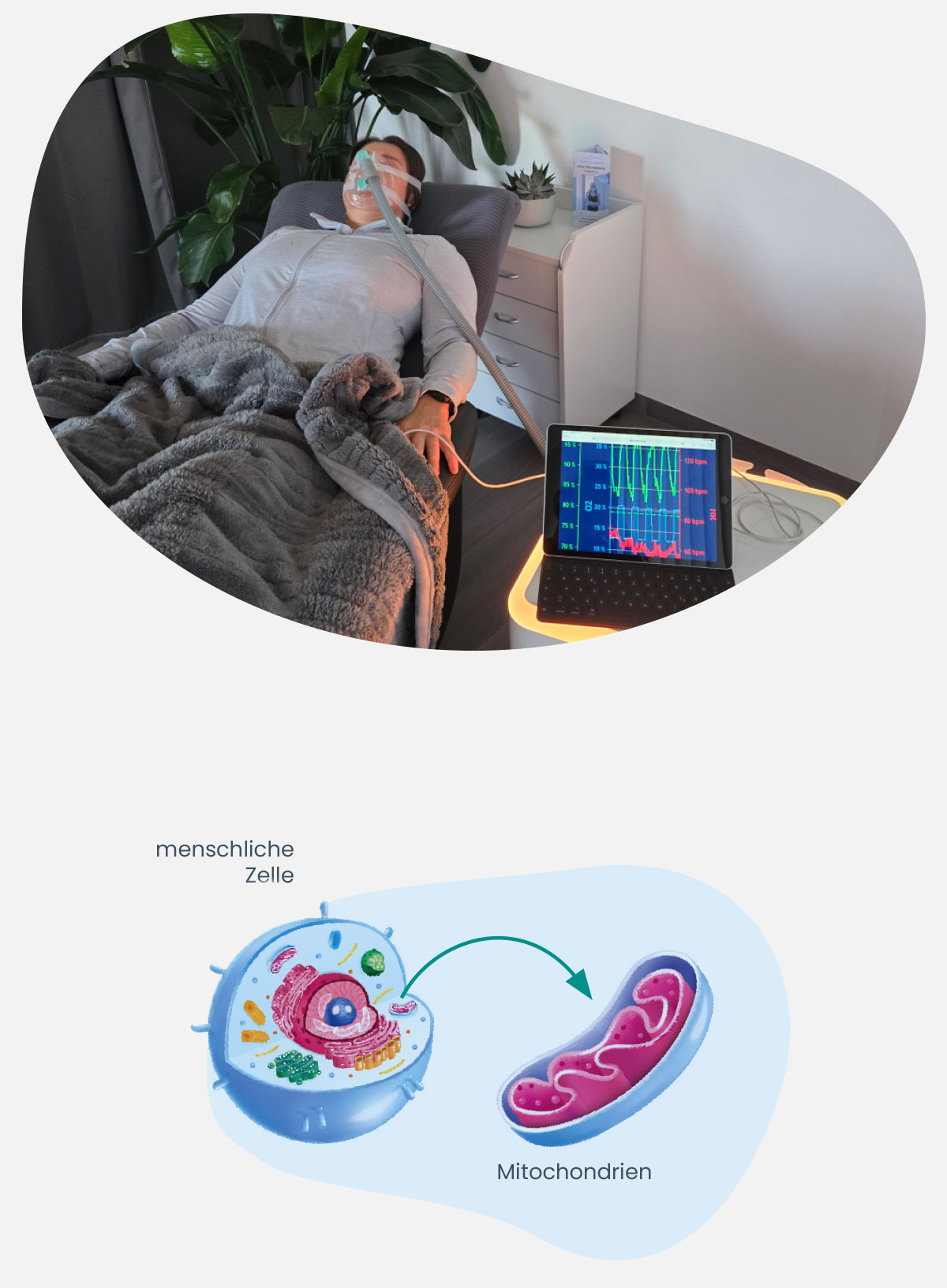 IHHT – Intervall-Hypoxie-Hyperoxie-Training IHHT - Intervall-Hypoxie-Hyperoxie-Training